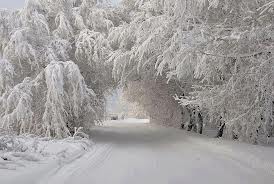 For Sunday, A Storm of Thanks: It's Just About... Life.
