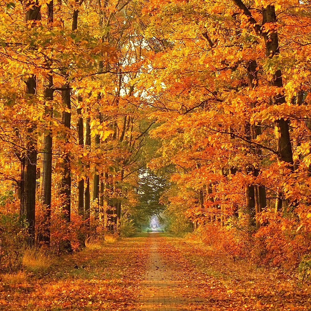 October Calling: It's Just About...Life