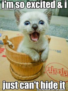 Get Excited: It's Just About... Life