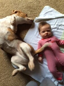 piper and scarlett 2