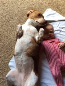 piper and scarlett