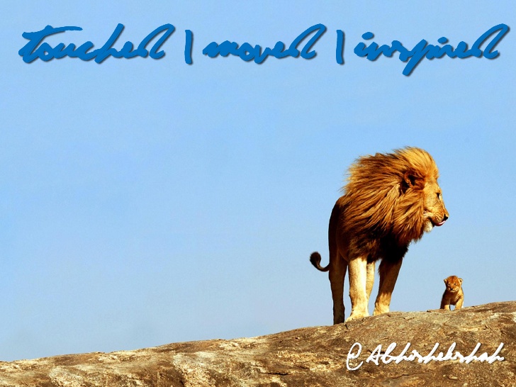 Touched & Moved: It's Just About... Life